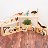 Wooden bird blocks - pack of 15