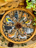 Birds - sensory play stones