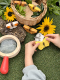Butterflies - sensory play stones