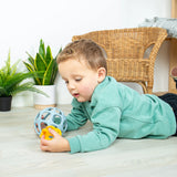 Activity balls