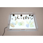 A3 light panel with light panel cover