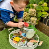 Fish sensory play stones