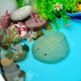 Fish sensory play stones