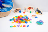 Translucent colour shells - pack of 72