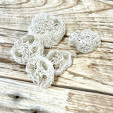 Pack of 5 loofah sponge slices