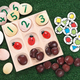 Wooden sorting tray with 9 frames