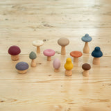 SiliSoft® woodland mushroom set earth colours