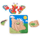 Lifecycle wooden puzzle - butterfly