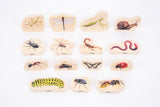Wooden minibeast blocks - pack of 15