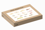 Wooden minibeast blocks - pack of 15