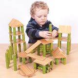 Bamboo building blocks - class set