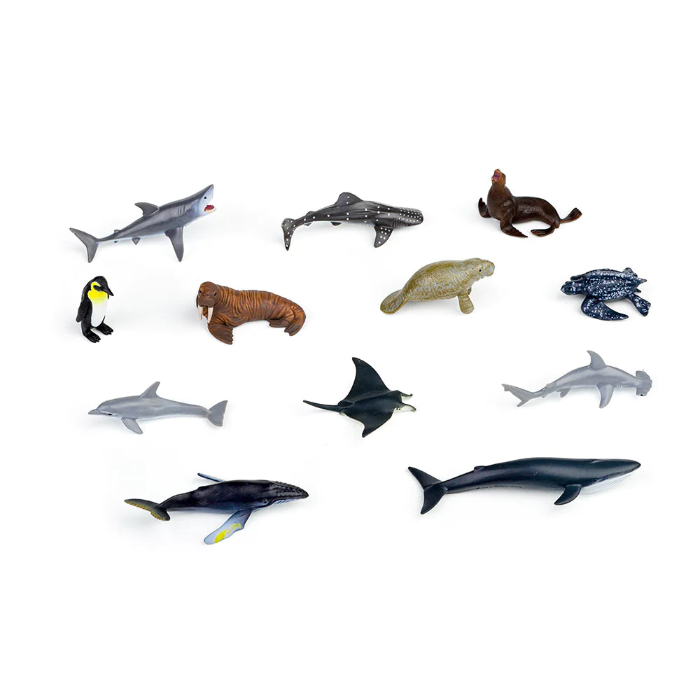 CollectA mini sea life set Little Acorns