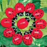 Ladybug counting stones