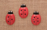 Ladybug counting stones