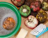 Fruit- sensory play stones