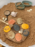 Let's investigate seashore