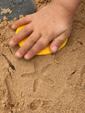 Let's investigate seashore
