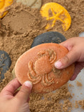Let's investigate seashore