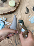 Let's investigate - Prehistoric  teeth