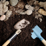 Let's investigate - Prehistoric  teeth