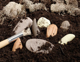 Let's investigate - Prehistoric  teeth
