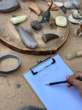 Let's investigate - Prehistoric  teeth