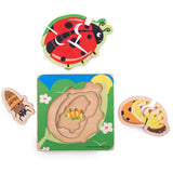 Lifecycle wooden puzzle - ladybird