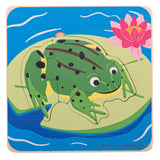 Life cycle layer puzzle - frog