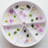 PlayTRAY (with removable compartments)