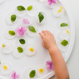 PlayTRAY (with removable compartments)