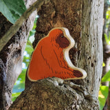 Lanka Kade orangutan