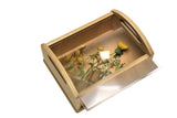 Outdoor magnifying carry box