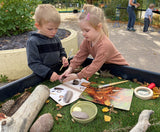 Prehistoric teeth explore and discover activity cards