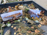 Prehistoric teeth explore and discover activity cards