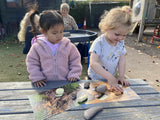 Prehistoric teeth explore and discover activity cards