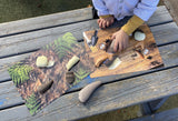 Prehistoric teeth explore and discover activity cards