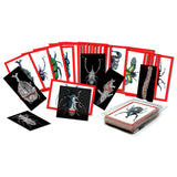 Insect x-rays and picture cards