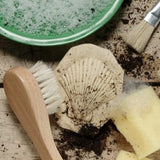 Let’s investigate fossils