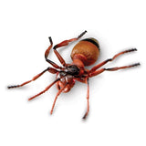 Jumbo insects - 7 to choose from
