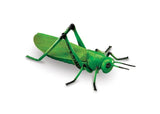 Jumbo insects - 7 to choose from