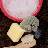 Let’s investigate woodland footprints