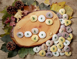 Alphabet pebbles - lowercase