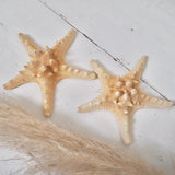 Natural starfish