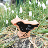 Lanka Kade magpie