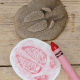 Let’s investigate farmyard footprints