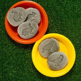 Let’s investigate woodland footprints