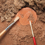 Let’s investigate dinosaur footprints