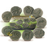 Let’s investigate woodland footprints