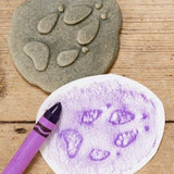 Let’s investigate woodland footprints