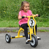 Wisdom large trike